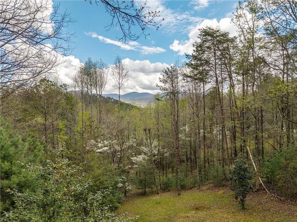 238 Cedar Ridge Rd