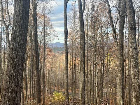 A home in Ellijay