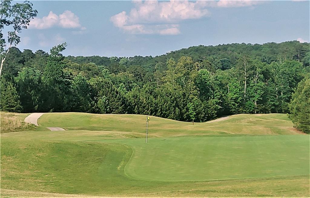149 Dogwood Court, Waleska, Georgia image 12