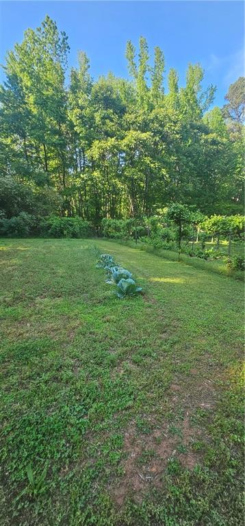 144 Wiley Drive, Douglasville, Georgia image 21