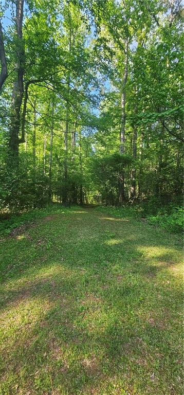 144 Wiley Drive, Douglasville, Georgia image 33