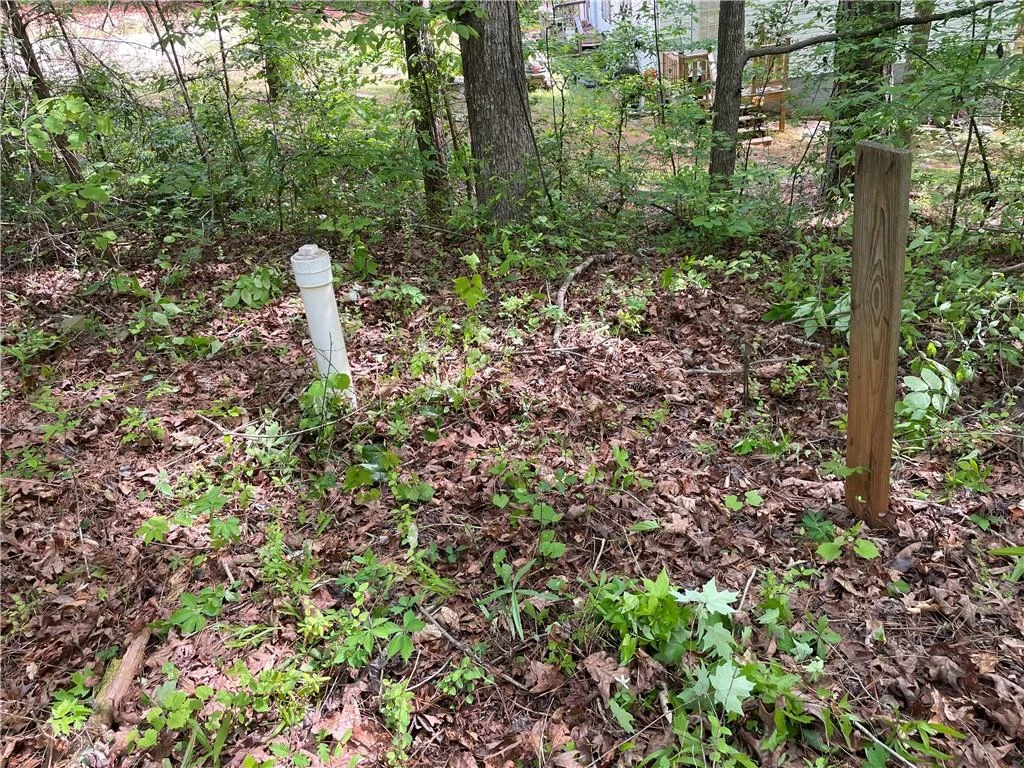 225 White Birch Drive