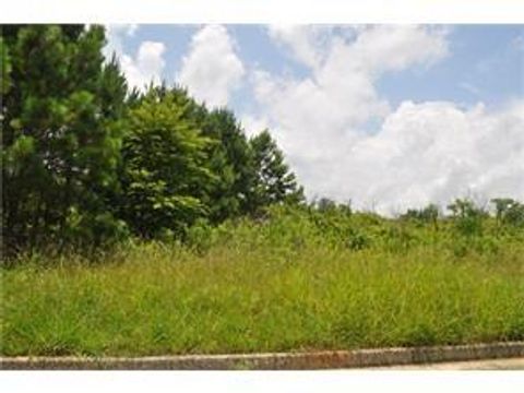 Vacant Land For Sale - 298 Randall Drive<br/> Rockmart, GA 30153