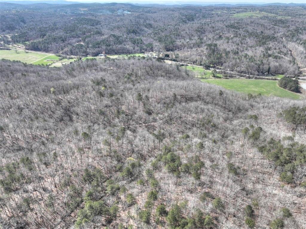 Hwy 515, Ellijay, Georgia image 11