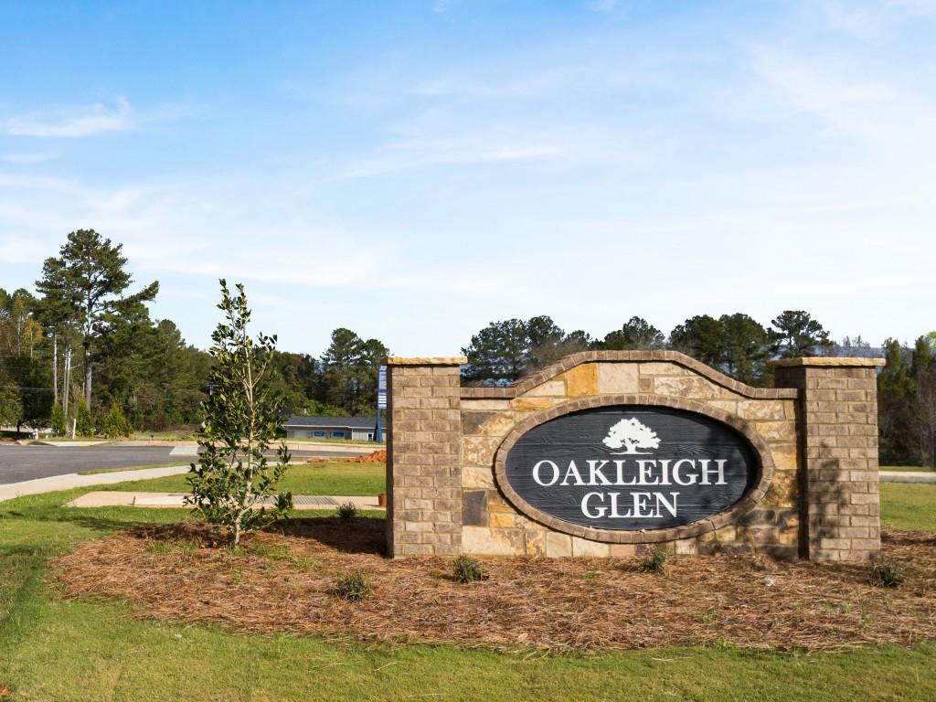 104 Hill Side Lane, Dallas, Georgia image 24