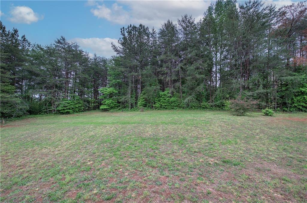 10 Mill View Court, Adairsville, Georgia image 41