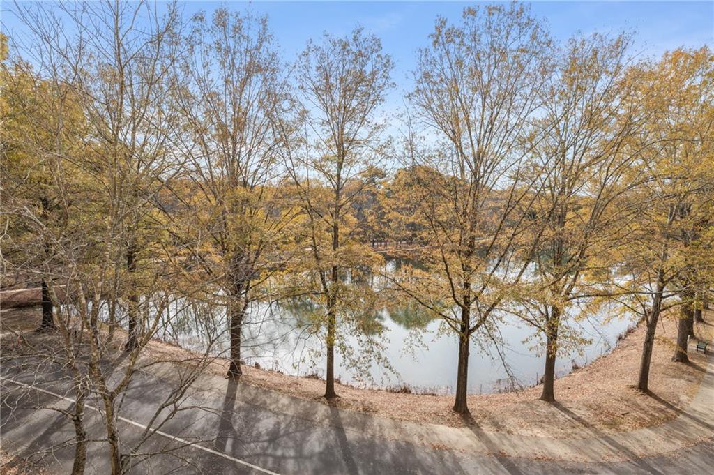 1800 Clairmont #428 Lake #A428, Decatur, Georgia image 3