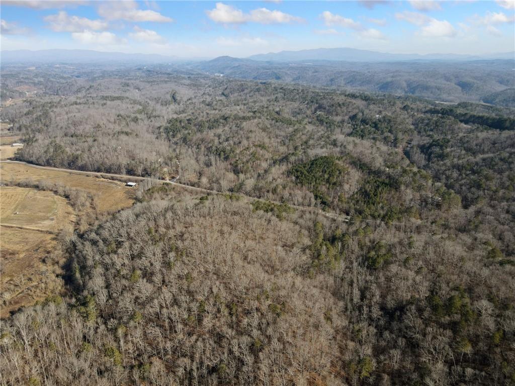 23 Ac Whitestone Road, Talking Rock, Georgia image 3