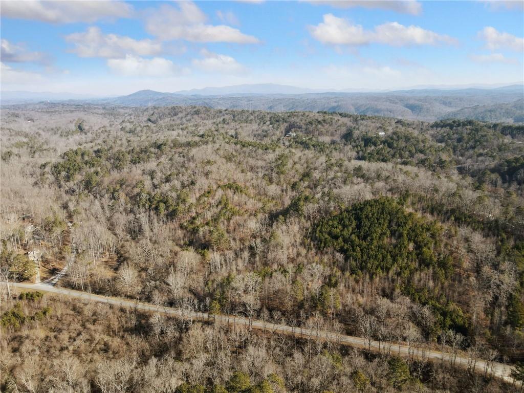 23 Ac Whitestone Road, Talking Rock, Georgia image 5