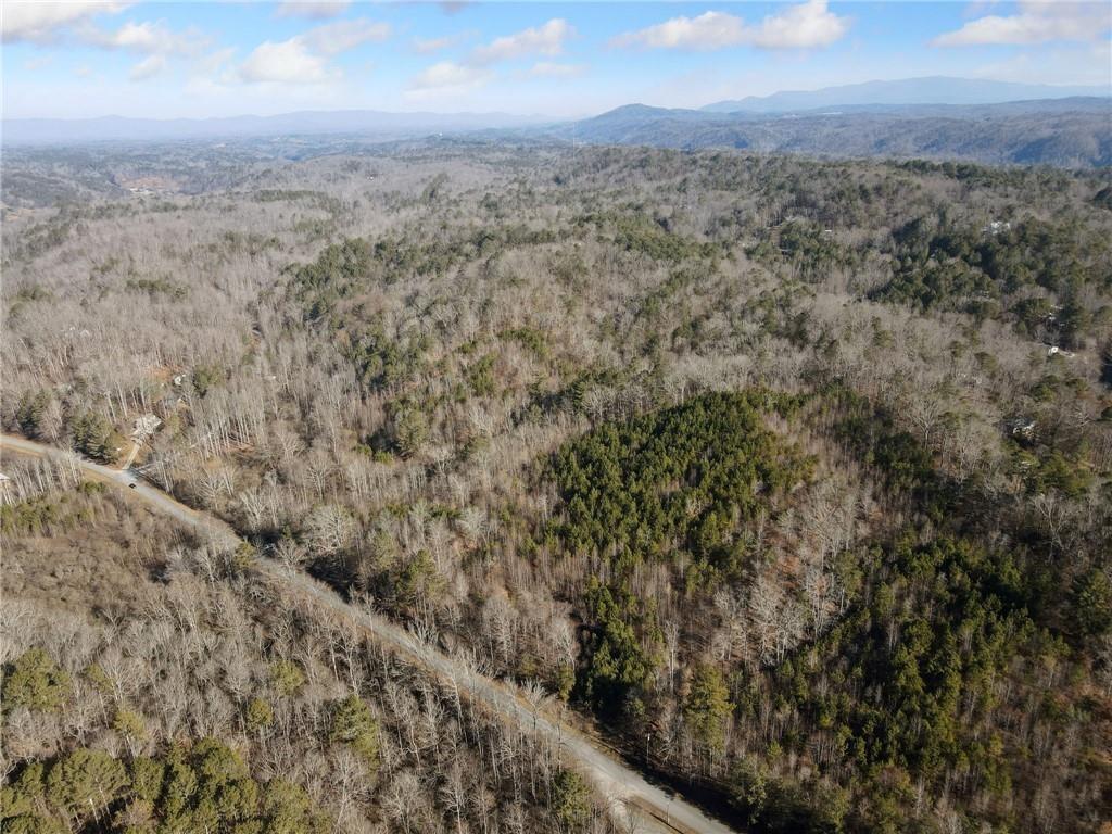 23 Ac Whitestone Road, Talking Rock, Georgia image 8