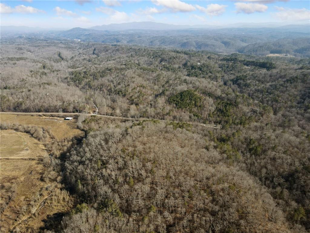 23 Ac Whitestone Road, Talking Rock, Georgia image 4