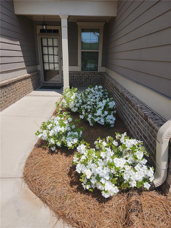 3165 Blackshear Drive
