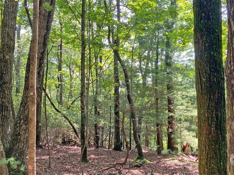 Vacant Land For Sale - 11AC T S Jarrard Road<br/> Dahlonega, GA 30533