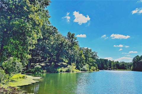 Vacant Land For Sale - Pinnacle Drive<br/> Ellijay, GA 30540