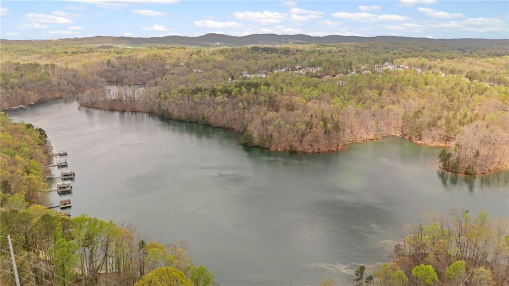 5730 Cains Cove Road, Cumming, Georgia image 44