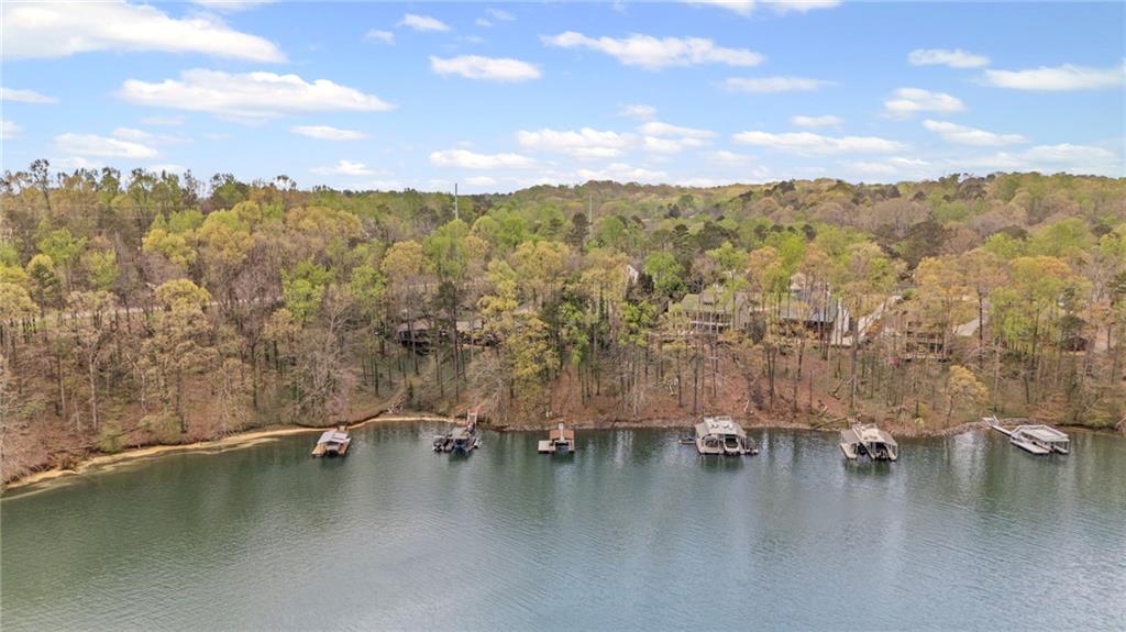 5730 Cains Cove Road, Cumming, Georgia image 46