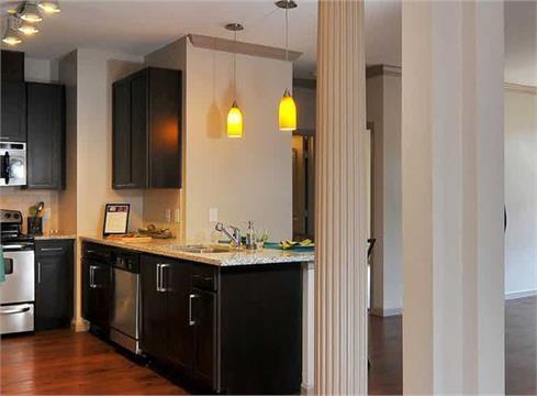 Amli North Point - Residential Lease