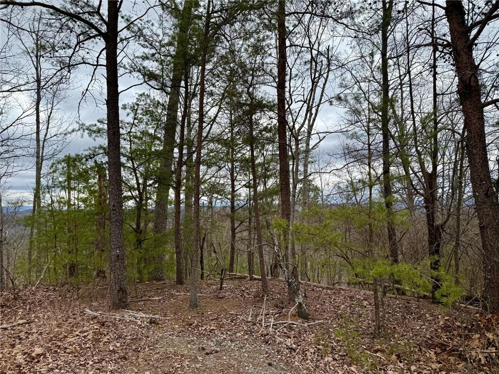 989 Blade Court, Ranger, Georgia image 3