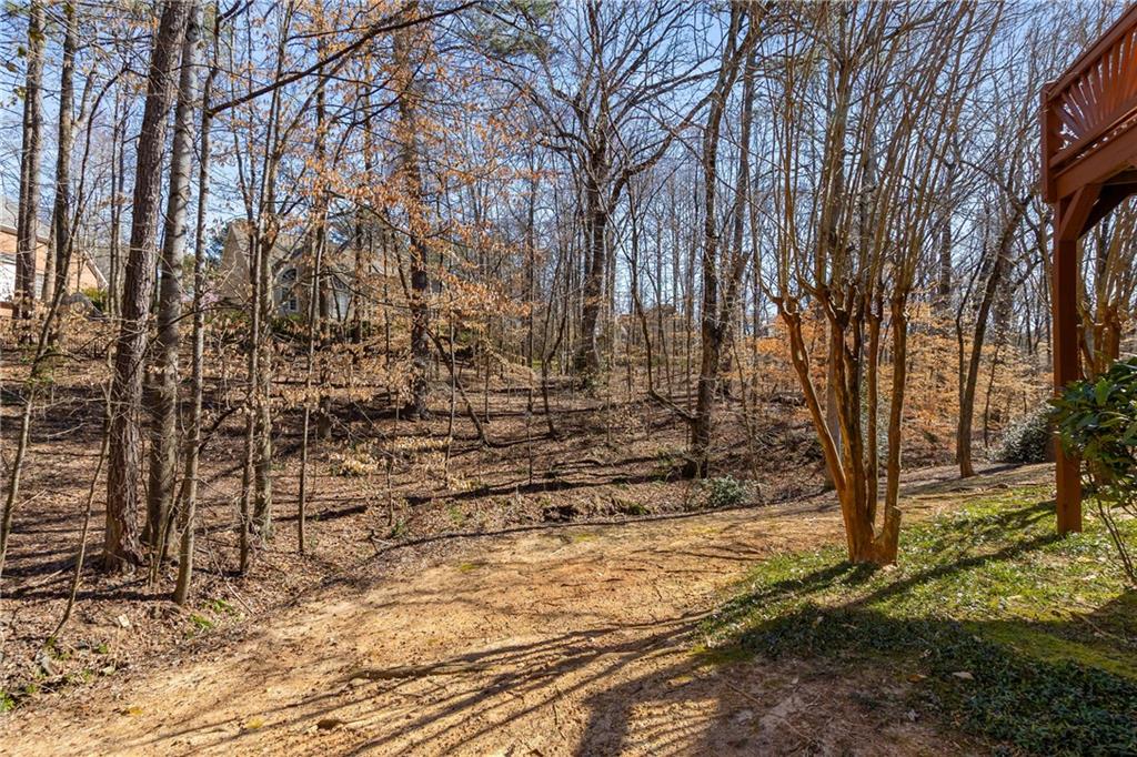 715 Newport Hollow, Alpharetta, Georgia image 48