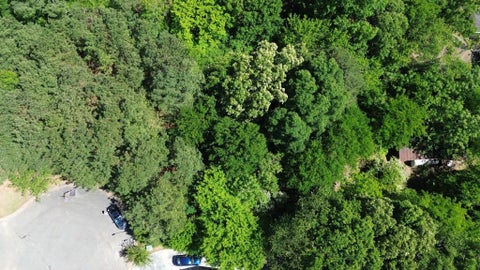 Vacant Land For Sale - 111 Jarrett Drive<br/> Gordon County, Calhoun, GA 30701