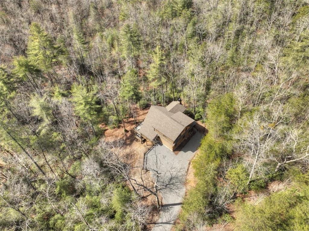 857 Harrison & Ada Road, Blue Ridge, Georgia image 46