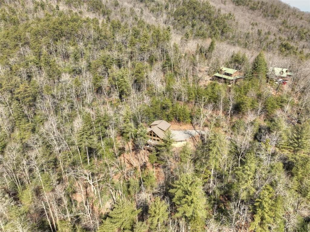 857 Harrison & Ada Road, Blue Ridge, Georgia image 48