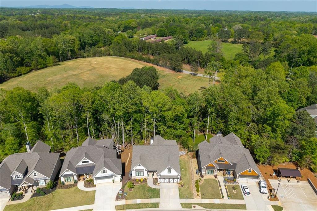 7018 Hammock Trail, Gainesville, Georgia image 49