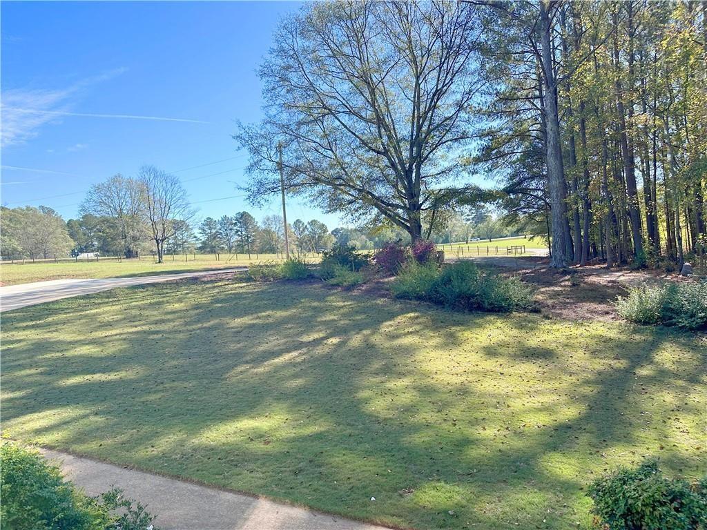 4424 Lower Fayetteville Road, Sharpsburg, Georgia image 28