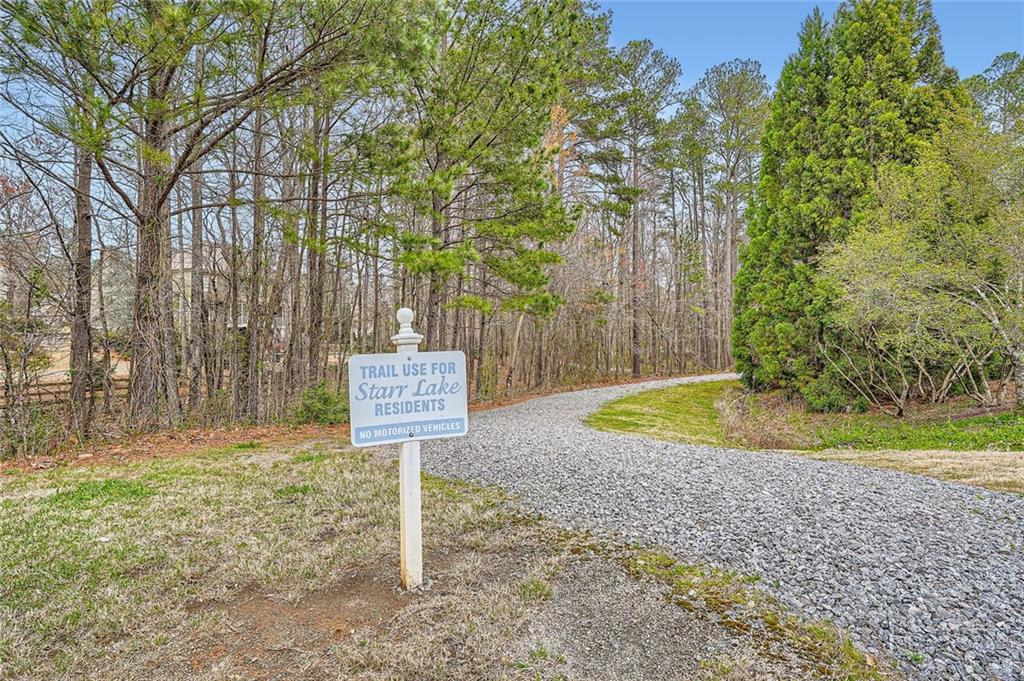 2290 Dragonfly Court, Acworth, Georgia image 31