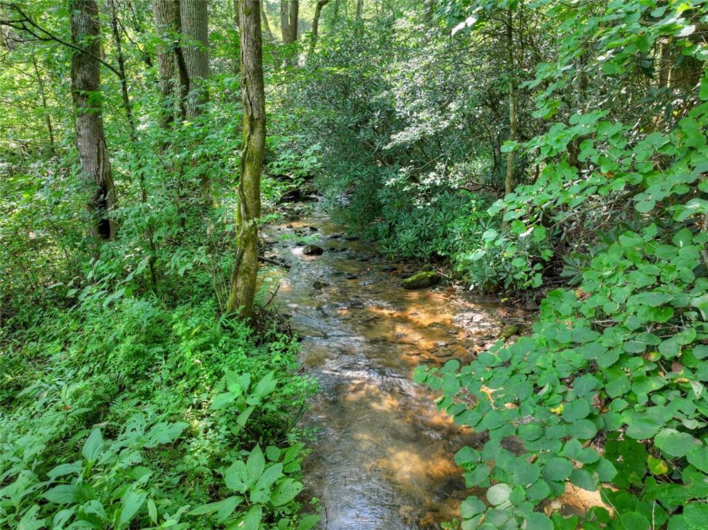 261 Frosty Mountain Trail