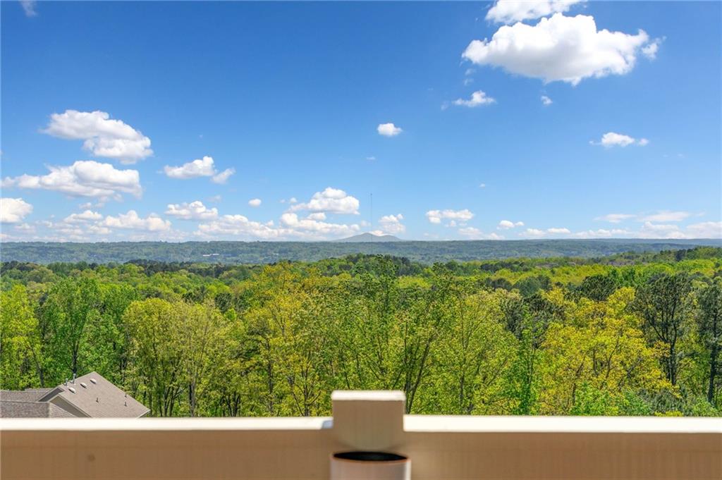 322 Tupelo Tr Trail, Canton, Georgia image 35