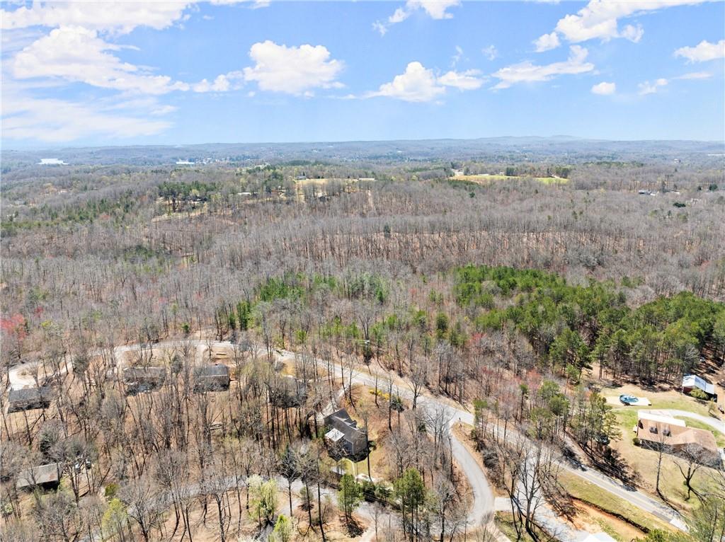 165 Grant Ford Dr. Dr, Dawsonville, Georgia image 45