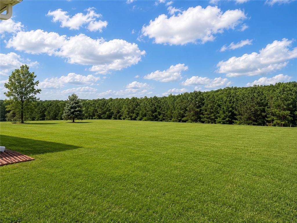 139 Swallowtail Lane