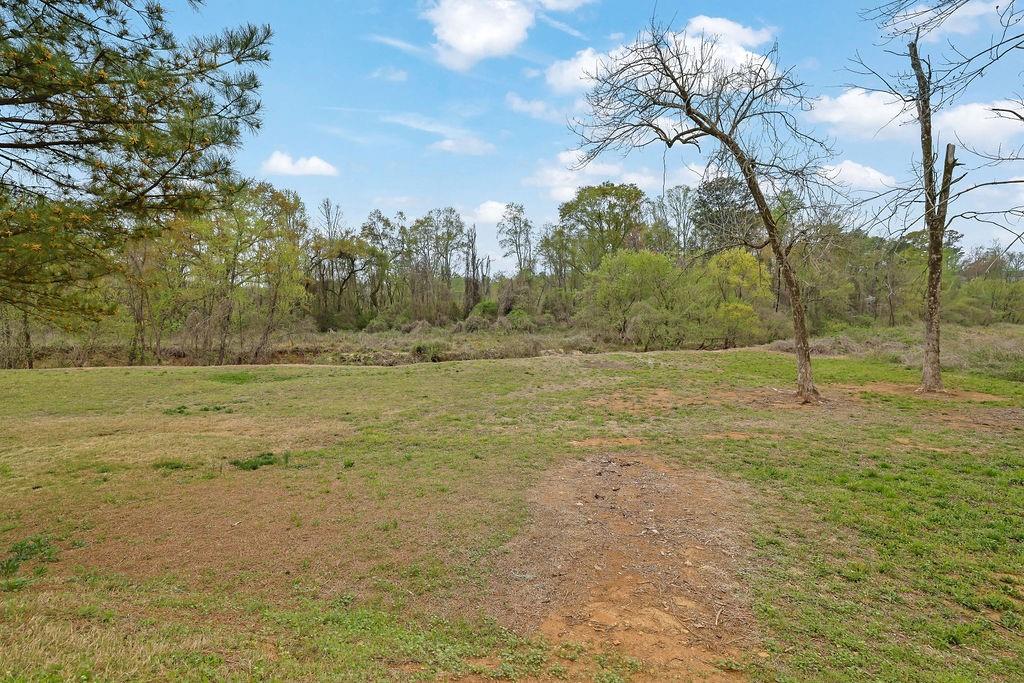 3945 Hamilton Cove Court, Cumming, Georgia image 35