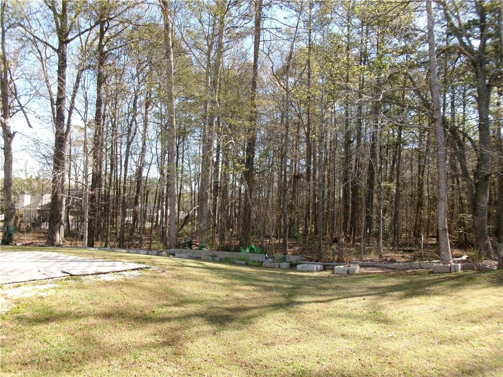 1211 Saxony Drive, Conyers, Georgia image 3