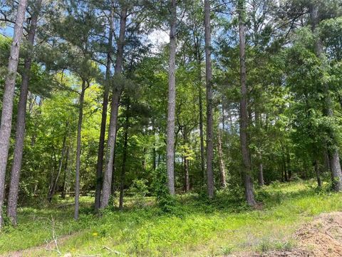 2517 Pinewood Drive Conyers GA 30012