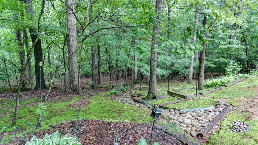 226 Nuckolls Lane, Dawsonville, Georgia image 41