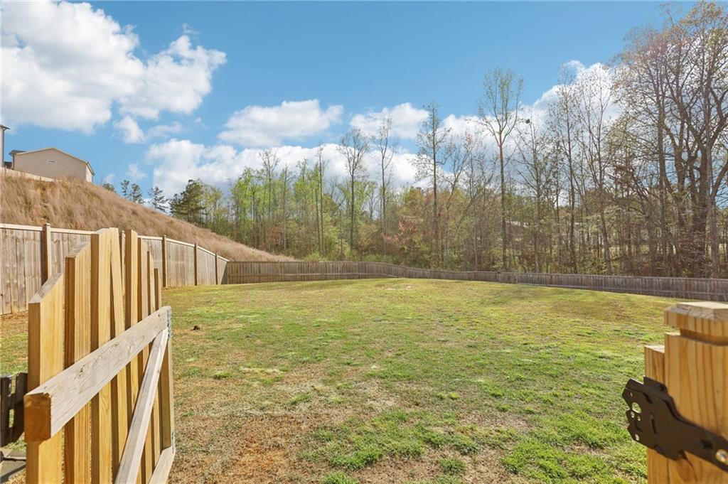 139 Rushing View Glen, Dallas, Georgia image 37