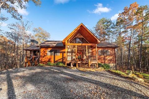 A home in Mineral Bluff