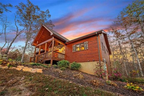 A home in Mineral Bluff