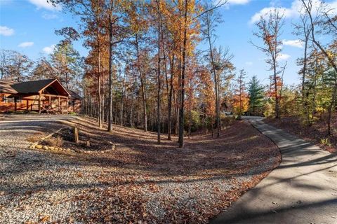 A home in Mineral Bluff