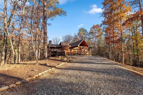 A home in Mineral Bluff