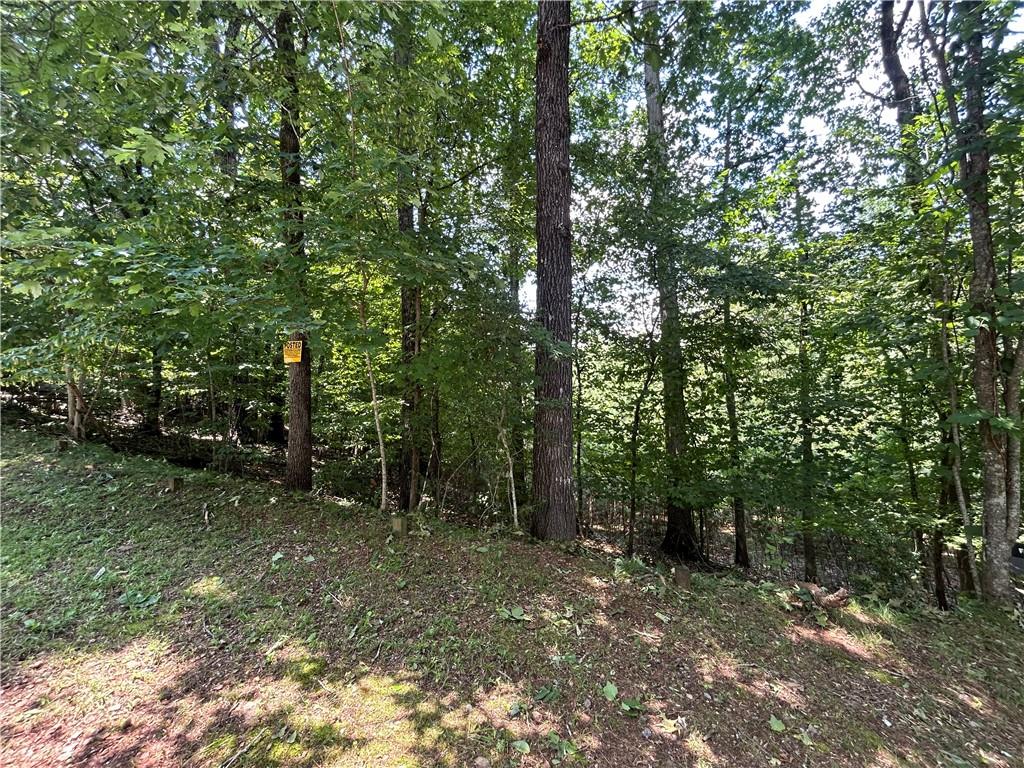 8290 Jett Ferry Road