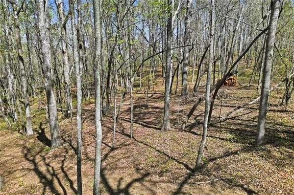 109 HERITAGE DR, CANTON, GA 30114 - Image b00a60794284dbb7ce6393175241a87d/4248793542