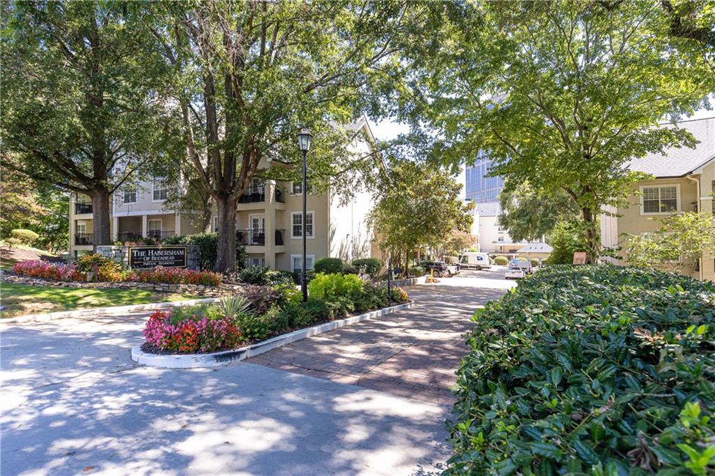 3655 Habersham Road NE 358-B