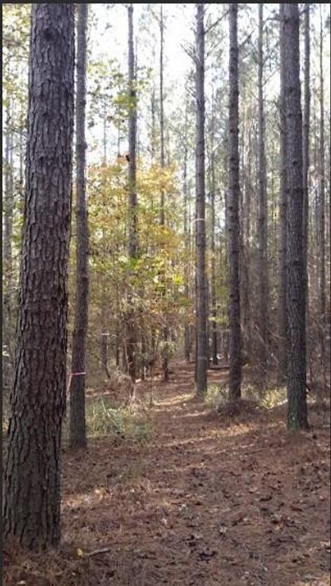 Vacant Land For Sale - 1047 Ponder Trammell Road<br/> Monroe County, Juliette, GA 31046