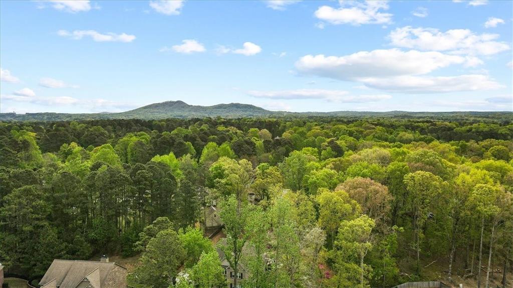 1365 Willis Lake Drive