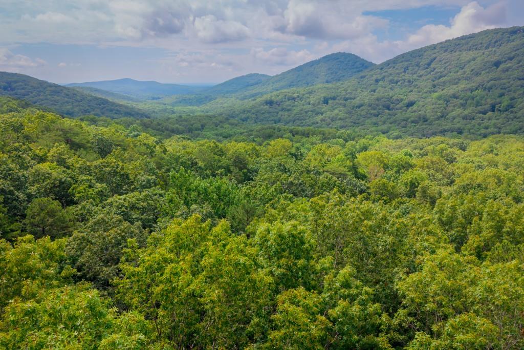 Beautiful Mountain View Lot in Sought-After Big Canoe Mountain view homesite within easy access of Nature Valley Trails. This corner lot features a nice building knoll and offers long-range mountain views through Big Canoe and beyond. Priced to sell. Buyer to verify all information and dimensions deemed important.