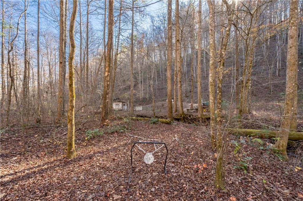 650 Mulberry Trail, Ellijay, Georgia image 27