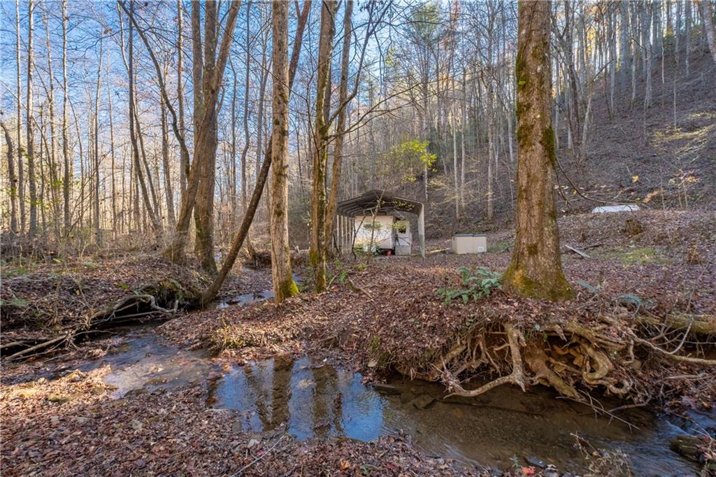 650 Mulberry Trail, Ellijay, Georgia image 29